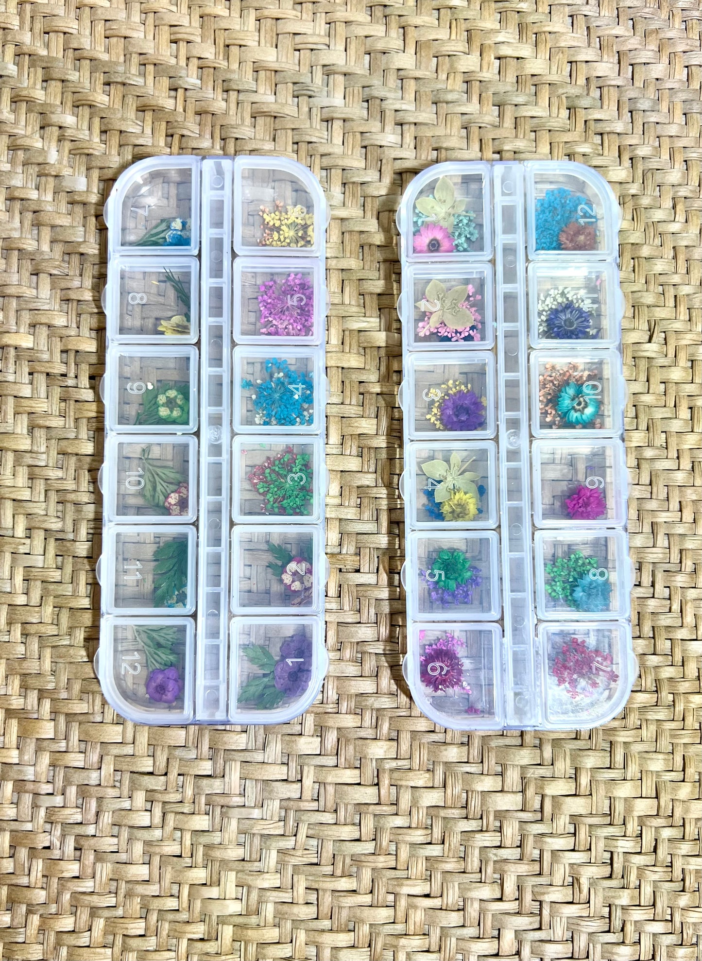 NEW 2 Small Containers of Dried Flowers