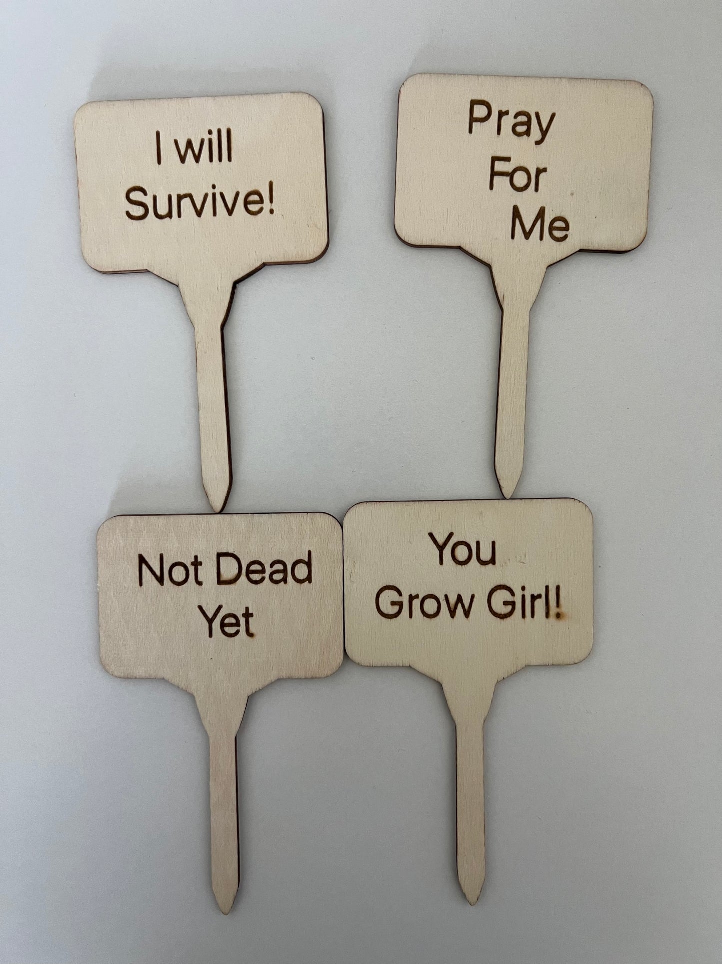 (4) Wooden Lasered Plant Stakes